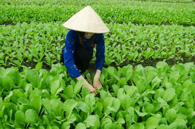 農(nóng)業(yè)氣象站安裝與維護(hù)需要注意6個地方 農(nóng)業(yè)氣象站安裝與維護(hù)需要注意6個地方